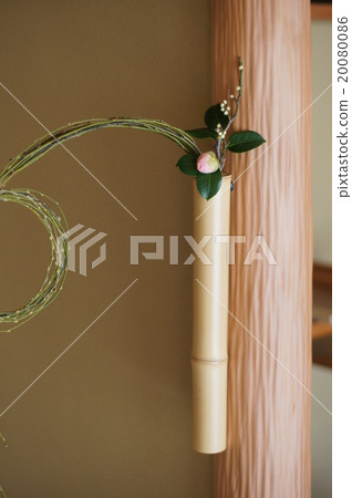 茶花 20080086