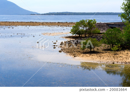 Indonesian landscape with ocean view Indonesian landscape with ocean view 20081664
