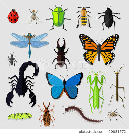 Set of Various Insects Design Flat Set of Various Insects Design Flat 20081772