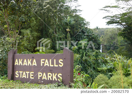 Akaka Falls Hawaii 20082570