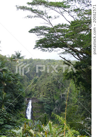 Kahuna Falls Hawaii 20082571