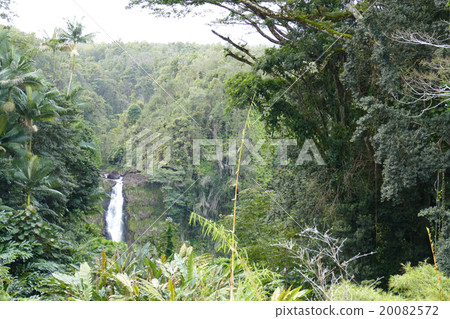 Kahuna Falls Hawaii 20082572