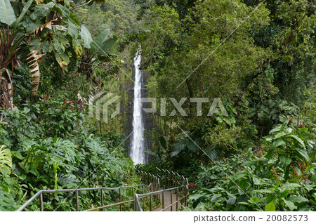 Akaka Falls Hawaii 20082573