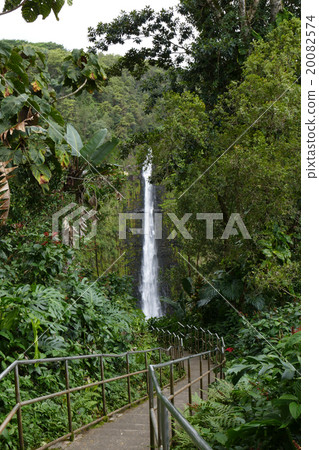 Akaka Falls Hawaii 20082574