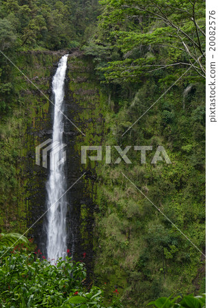 Akaka Falls Hawaii 20082576