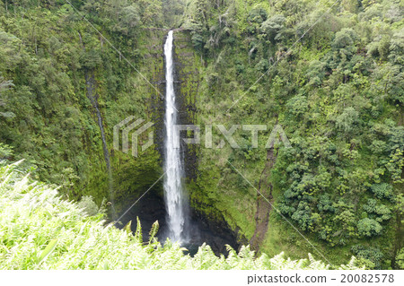 Akaka Falls Hawaii 20082578