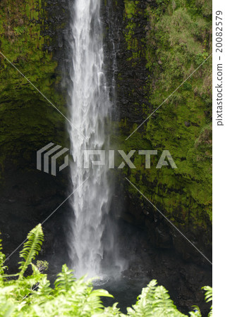 Akaka Falls Hawaii 20082579