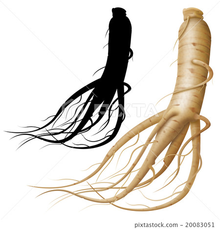 Ginseng Ginseng 20083051