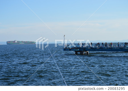 Honmoku Wharf Sea Fishing Park and Container Ship 20083295