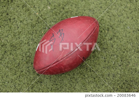 American football rugby ball on grass American football rugby ball on grass 20083646