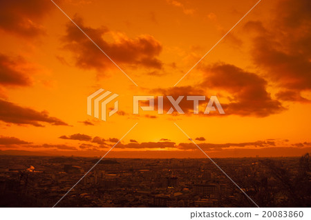 Osaka Plain Akanekai 20083860