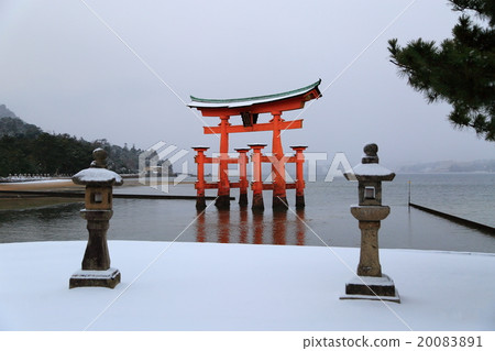 鳥居 鳥居 20083891