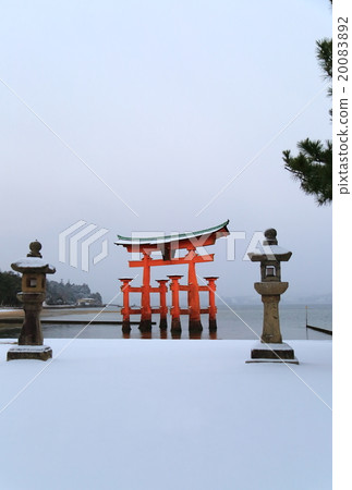鳥居 鳥居 20083892