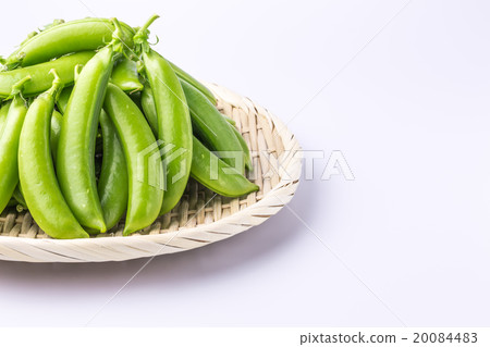 豌豆 豌豆 20084483