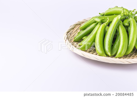 豌豆 豌豆 20084485