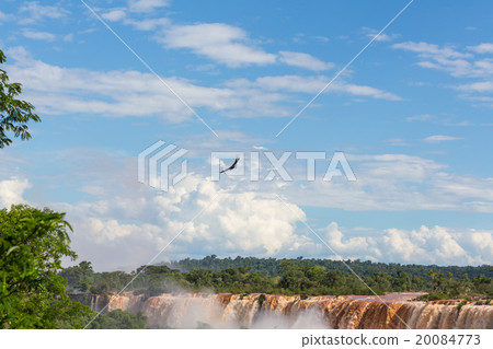 Iguazu 20084773