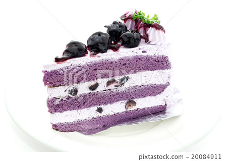 blueberry cake 20084911