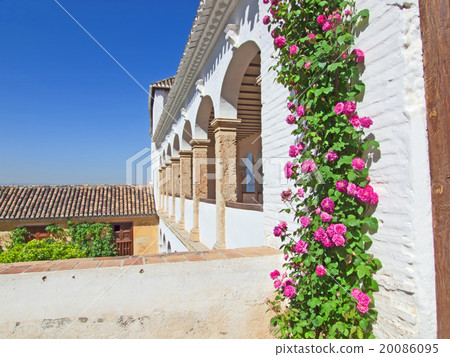 Arched gallery windows Generalife in Alhambra 20086095