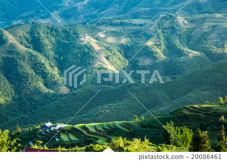 Rice Terrace 20086461