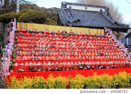 桂大Hina祭典 桂大Hina祭典 20086741