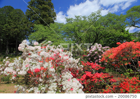 笠間螺旋節 笠間螺旋節 20086750