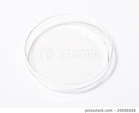 Dish, petri isolated on white Dish, petri isolated on white 20086888