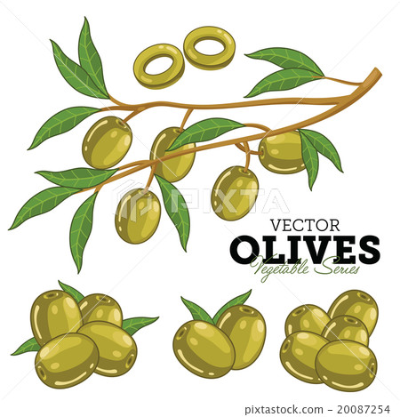 Olives with leaves Olives with leaves 20087254