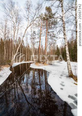 Partially frozen forest river Partially frozen forest river 20087342