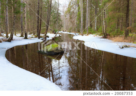 Partially frozen forest river Partially frozen forest river 20087353