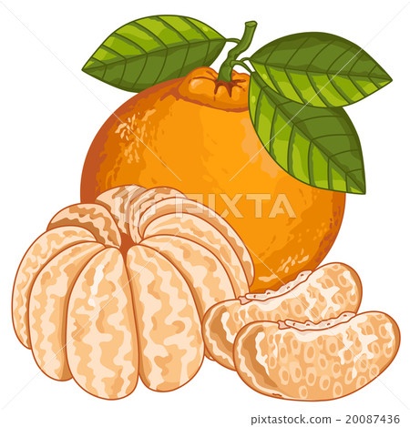 Mandarin composition Isolated Mandarin composition Isolated 20087436