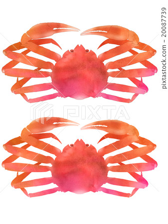 Vivid snow crab front (medium size set) 20087739