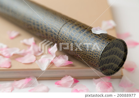 畢業形象 20088977