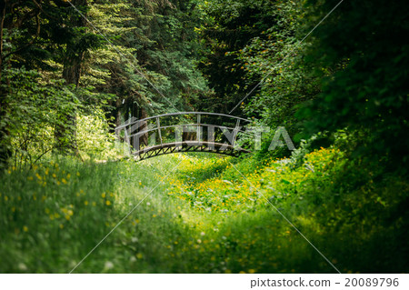 Old small decorative bridge in summer garden park 20089796