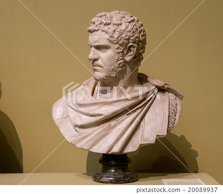 The ancient marble portrait bust 20089937
