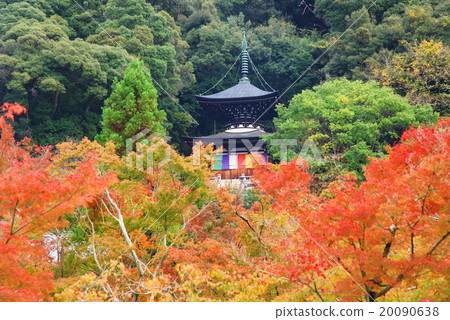 Tahoto Pagoda with autumn foliage of Eikando Kyoto 20090638