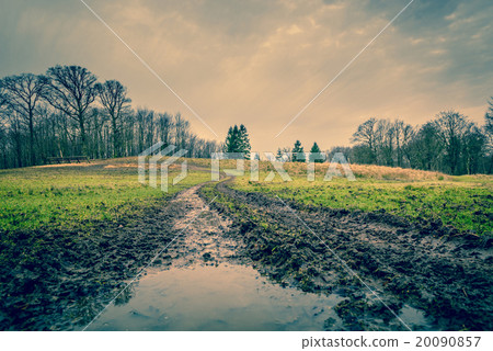 Muddy road with a puddle 20090857