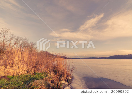Reed at a frozen river 20090892