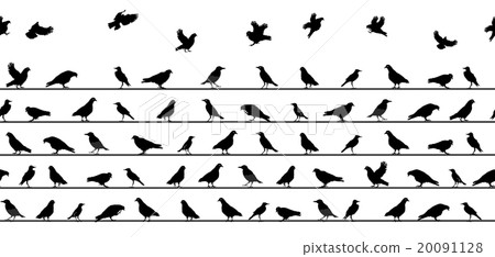 Birds Sitting on Power Lines. Seamless Pattern 20091128