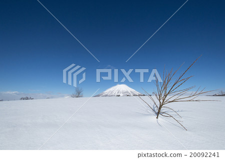 在冬天的山 20092241