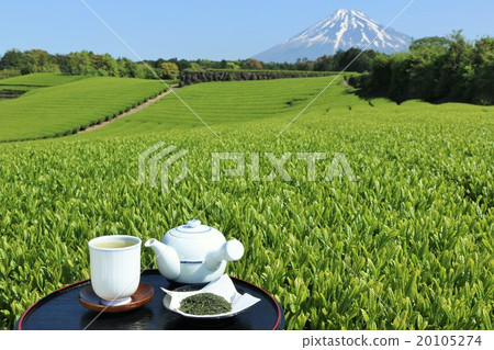 初夏的茶園和新茶以及富士山 20105274
