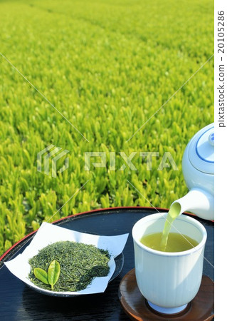 倒新鮮的綠茶領域新茶 倒新鮮的綠茶領域新茶 20105286