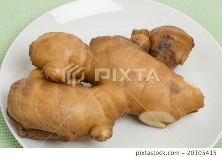 ginger ginger 20105415