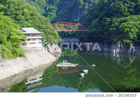 皇家門的新鮮綠色 20106503
