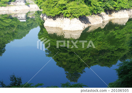 皇家門的新鮮綠色 皇家門的新鮮綠色 20106505