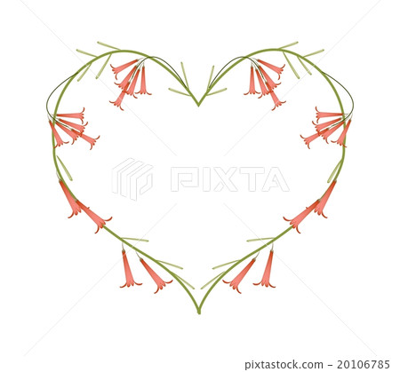 Russelia Flowers in Heart Shape Russelia Flowers in Heart Shape 20106785