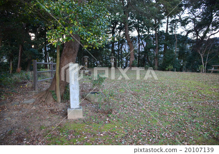 文庫本丸追踪 文庫本丸追踪 20107139