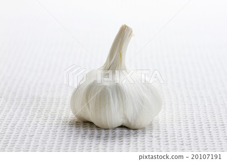 Garlic 5 Garlic 5 20107191