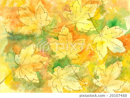 Hand drawn autumn leaves Hand drawn autumn leaves 20107488