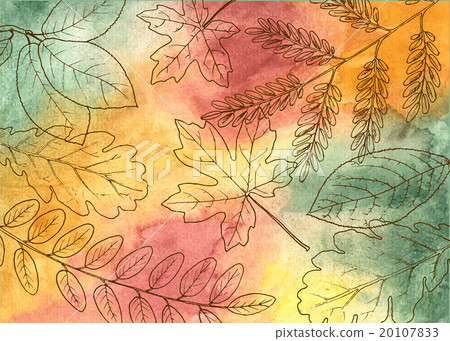 Hand drawn autumn leaves Hand drawn autumn leaves 20107833