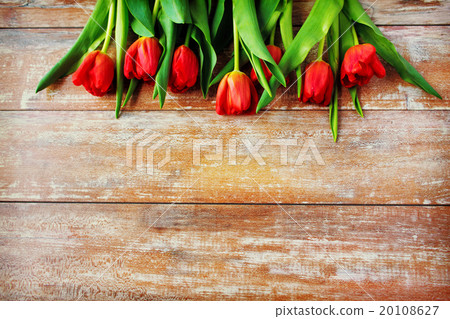 close up of red tulips on wooden background close up of red tulips on wooden background 20108627